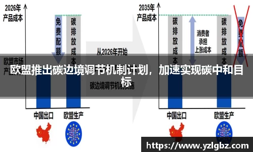 球速体育官方