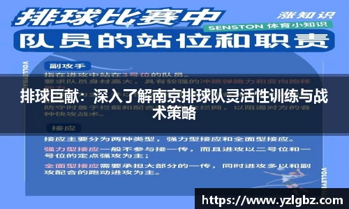 球速体育