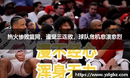 球速体育平台登录入口