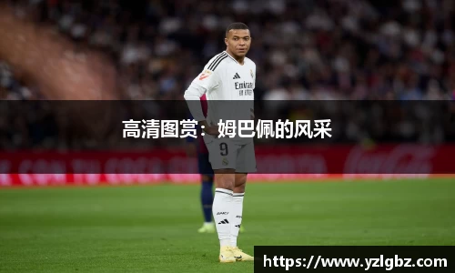 球速体育官方