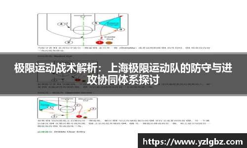 球速体育平台登录入口