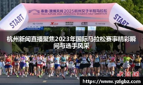 球速体育官方