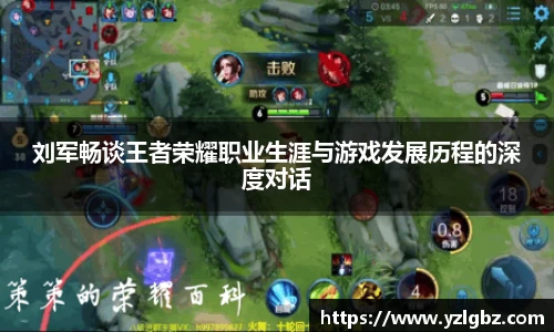 刘军畅谈王者荣耀职业生涯与游戏发展历程的深度对话