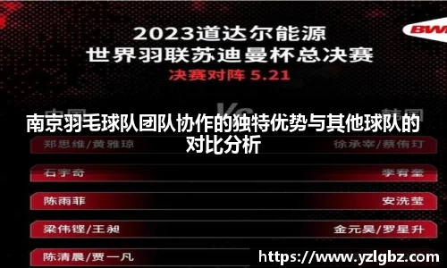 南京羽毛球队团队协作的独特优势与其他球队的对比分析