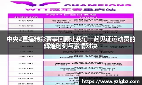 球速体育平台登录入口
