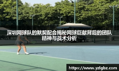 球速体育官方