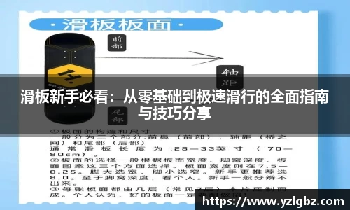 球速体育