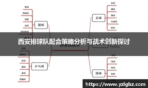 球速体育平台登录入口