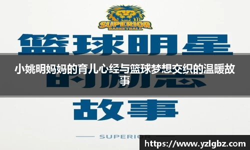 球速体育平台登录入口