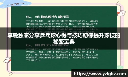 球速体育官方