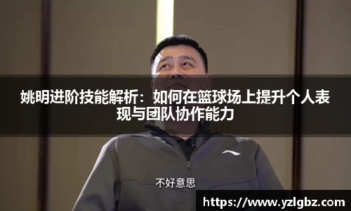 球速体育