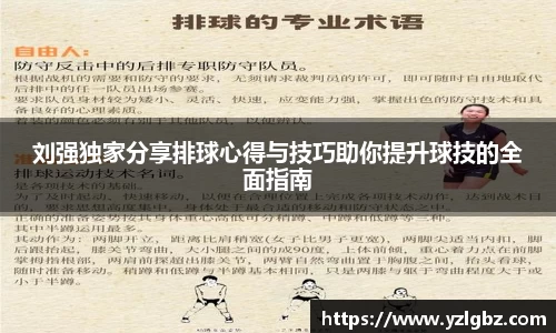 球速体育