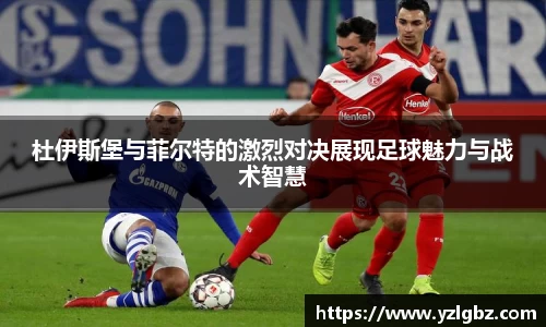 球速体育