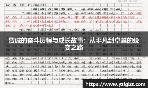 球速体育