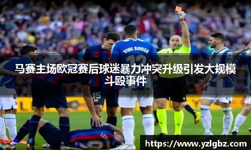 球速体育平台登录入口