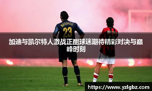 球速体育平台登录入口