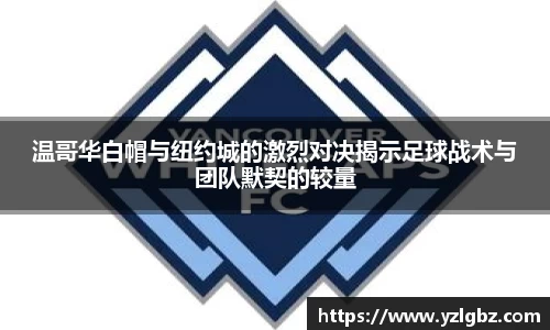 球速体育平台登录入口