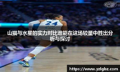 球速体育官方