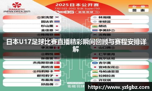 球速体育平台登录入口